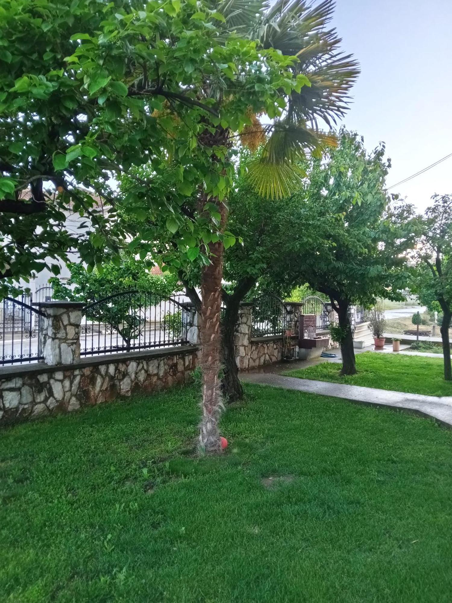 גבגלייה Apartman Zafirovi מראה חיצוני תמונה